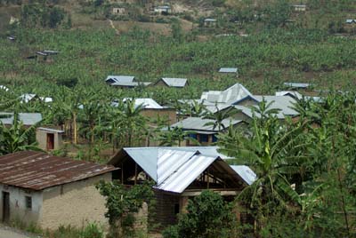 Local Housing